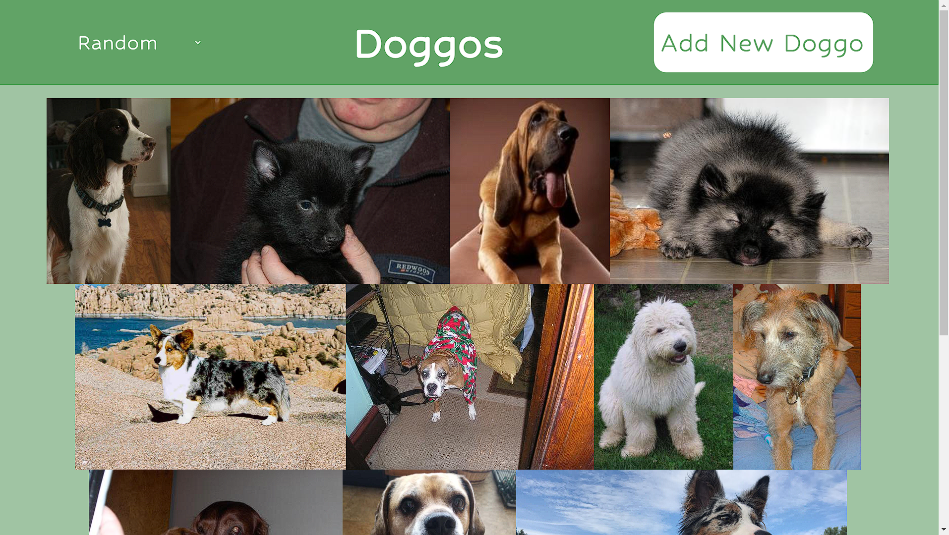 doggos app screenshot
